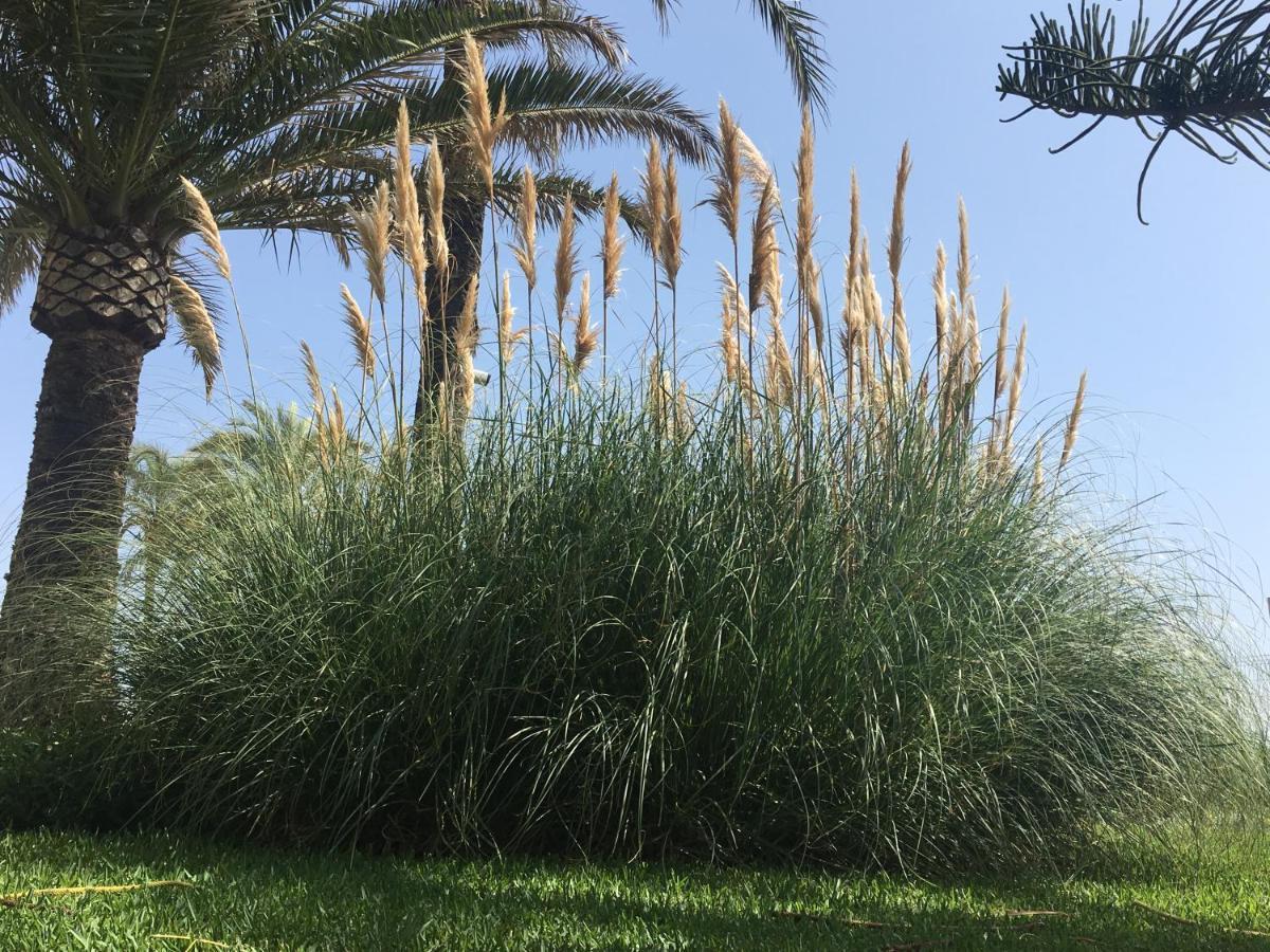 לה קאלה דה מיחאס Apartamento Las Mimosas Beach מראה חיצוני תמונה