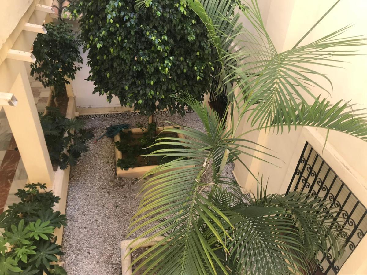לה קאלה דה מיחאס Apartamento Las Mimosas Beach מראה חיצוני תמונה